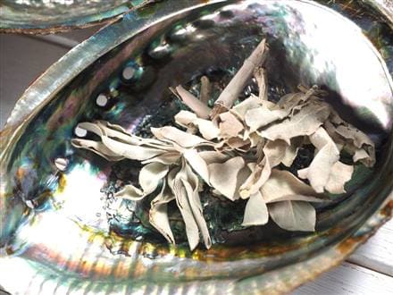 ナチュラルタイプ】☆虹色に輝く！レインボーアバローニ貝☆ホワイト