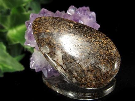 ☆太古のロマン溢れる激レアな逸品☆コレクターズアイテム☆恐竜の骨の