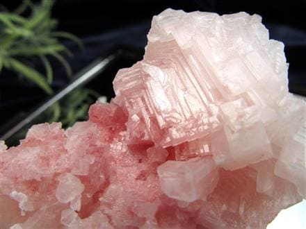 ◇少量限定！当店初入荷◇幾何学的結晶のピンク岩塩原石◇ツーソン展示