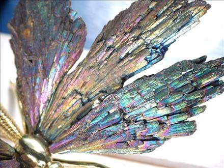 ☆華やかなバタフライモチーフ☆目を引く神秘的インテリア☆ツーソン