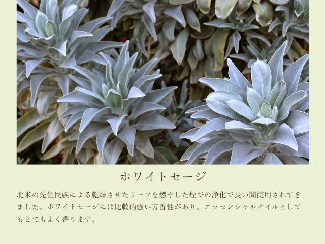 エジプシャンオイル　ホワイトセージ 浄化 精油 100ml 選べる3種類 エッセンシャルオイル ホワイト