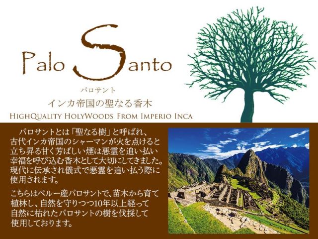 ★限定NEW★希少☆聖なる樹【神秘的な香りバロサントウッド香ルーン文字セット】 ◇ルーン文字セット◇ツーソン展示会商品◇聖なる樹ホーリーツリー