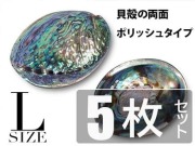 アバロンシェル アバローニ アワビ貝 貝器 皿