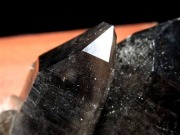 アーカンソー州産