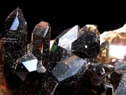 アーカンソー州産