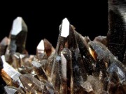 アーカンソー州産