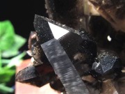 アーカンソー州産