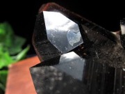 アーカンソー州産