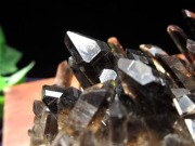 アーカンソー州産