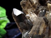 アーカンソー州産