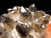 アーカンソー州産