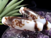 五本爪龍神 白天珠 至純天珠 天珠 馬蹄痕