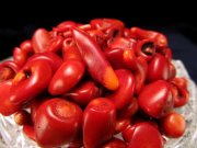 レッドコーラル