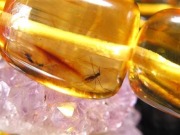 アンバー 琥珀 ブレスレット 虫入りアンバー 化石