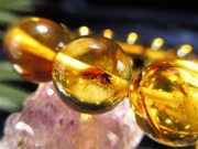 虫入りアンバー