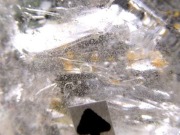 水入り水晶 原石 水晶 クォーツ 天然石