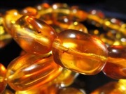 虫入り琥珀のブレスレット　アンバー 虫入りアンバー（琥珀）×ハイクオリティークオーツ（限定数本