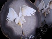 アゲートデザインプレート