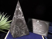 SHU-SGEMPD201-1_440.jpg?t=