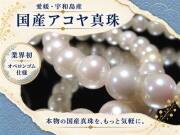 【本物の国産真珠】愛媛県宇和島産 アコヤ真珠◆大珠・お値打ち ホワイトカラー◆業界初オペロンゴム仕様 ギャランティカード付属 国産アコヤ真珠(パール)ブレスレット7.5-8mm×25珠前後 内径約16.5cm ≪2Z4≫