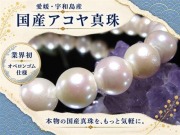 アコヤ真珠 アコヤパール 国産真珠 宇和島真珠 本真珠 パールブレスレット 真珠ブレスレット パール 真珠 シェル