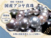 アコヤ真珠 アコヤパール 国産真珠 宇和島真珠 本真珠 パールブレスレット 真珠ブレスレット パール 真珠 シェル