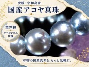 アコヤ真珠 アコヤパール 国産真珠 宇和島真珠 本真珠 パールブレスレット 真珠ブレスレット パール 真珠 シェル