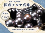 アコヤ真珠 アコヤパール 国産真珠 宇和島真珠 本真珠 パールブレスレット 真珠ブレスレット パール 真珠 シェル