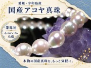 アコヤ真珠 アコヤパール 国産真珠 宇和島真珠 本真珠 パールブレスレット 真珠ブレスレット パール 真珠 シェル