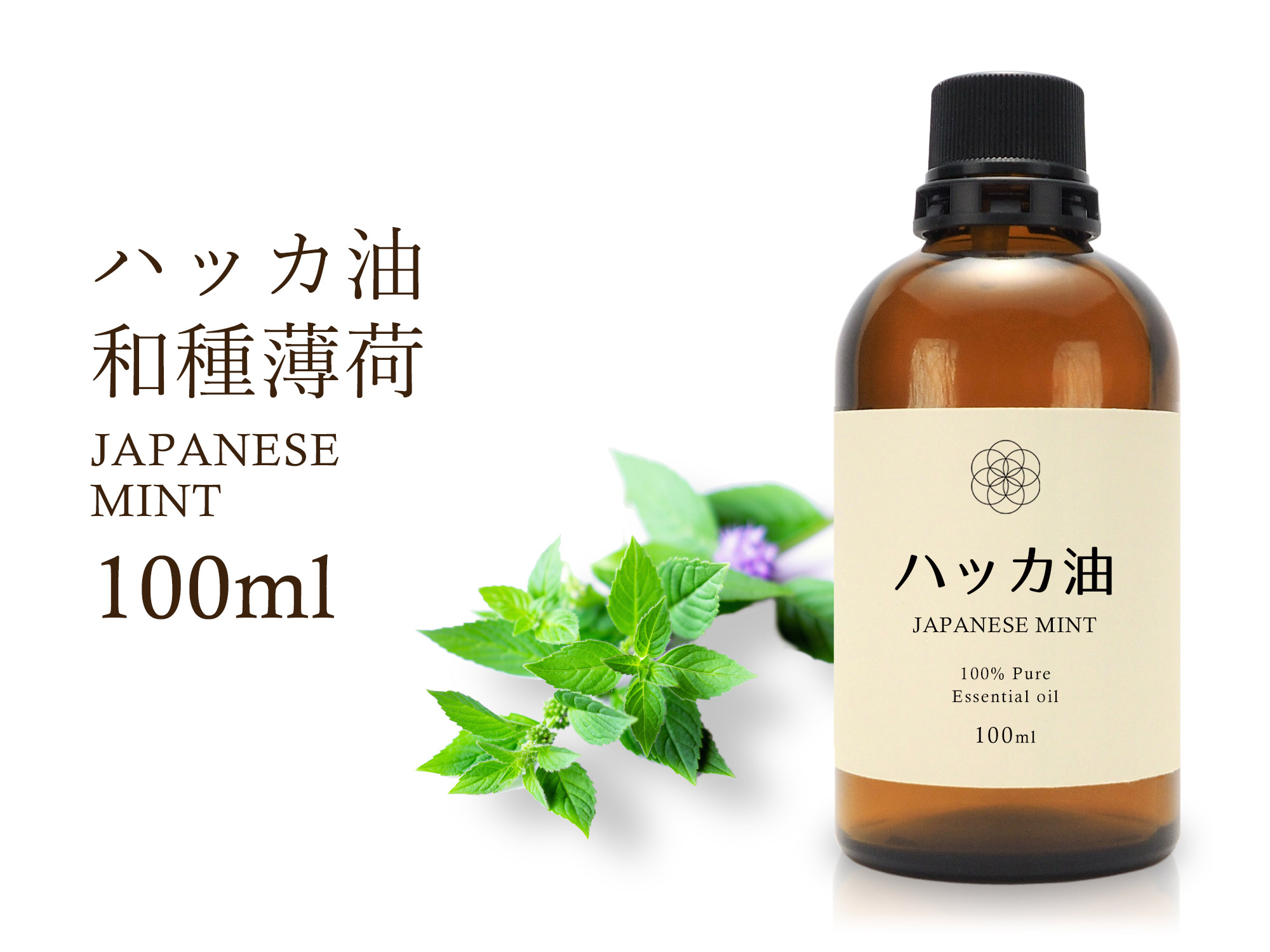 ◆ハッカ油 和種薄荷 ジャパニーズミント　エッセンシャルオイル 【癒し・浄化】◆Japanese mint◆100％Natural◆和種薄荷 ジャパニーズミント精油◆学名 Ｍentha Arvensis◆アロマオイル◆100ml入り◆【航空便不可】【管理No.054】