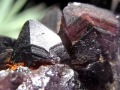 アメジスト 紫水晶 クラスター インド マハーラーシュトラ州産 原石