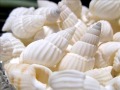 さざれ サザレ 細石 浄化 パワーストーン