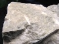 翡翠 ジェイダイド ジェイド 本翡翠 糸魚川