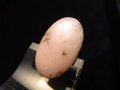 GP-R-DPO004-1.JPG