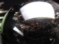 星彩黒水晶 スターモリオン 丸玉 スフィア チベット産
