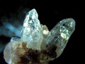 オイルクォーツ 石油入り水晶 結晶 原石