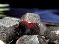 アルマンディン ガーネット 結晶原石 アラスカ州産 十二面体結晶原石 1月の誕生石
