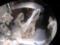 貫入水晶
