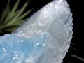 アクアマリン ベリル 蓮華座観音 彫刻 タンブル 置物
