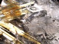 ゴールドルチルクォーツ タンブル 金針水晶 カボション ルチレイテッドクォーツ