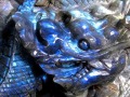 ラブラドライト 彫刻置物 龍 ドラゴン 辰