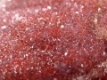 アメジスト 紫水晶 クラスター 国産 浄化