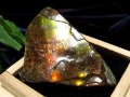 アンモライト 原石 KORITE 化石 宝石