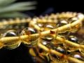 アンバー 琥珀 虫入り琥珀 ブレスレット 虫入りアンバー 化石