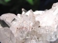 レムリアンシードクリスタル レムリアンリッジ クラスター レムリアン コロンビア産