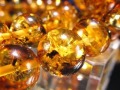 アンバー 琥珀 ブレスレット ロシアンアンバー バルト海産