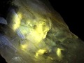 パウエライト アメジスト 紫水晶 ポイント 浄化 2月の誕生石