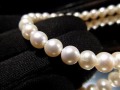 パール 淡水 真珠 結婚式 アクセサリー