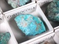 ミニチュア原石 コレクション原石 クリソコラ 珪孔雀石 CHRYSOCOLLA