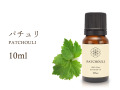 ◆パチュリエッセンシャルオイル【グラウンディング・精神安定】◆Patchouli◆100％Natural◆パチュリ精油◆学名 Pogostemon Cablin◆アロマオイル◆10ml入り◆【航空便不可】【管理No.037】